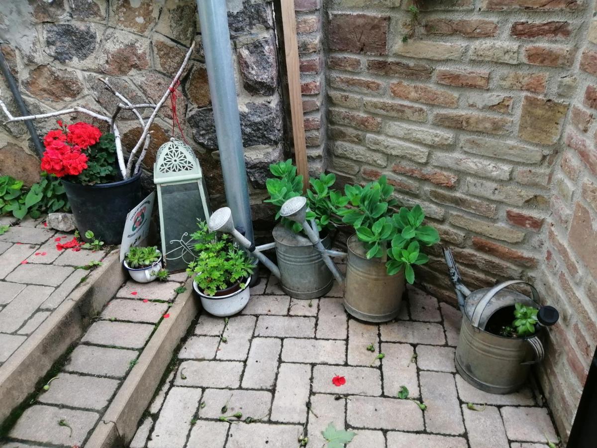 Mives Vendeghaz Hotel Pogany Luaran gambar
