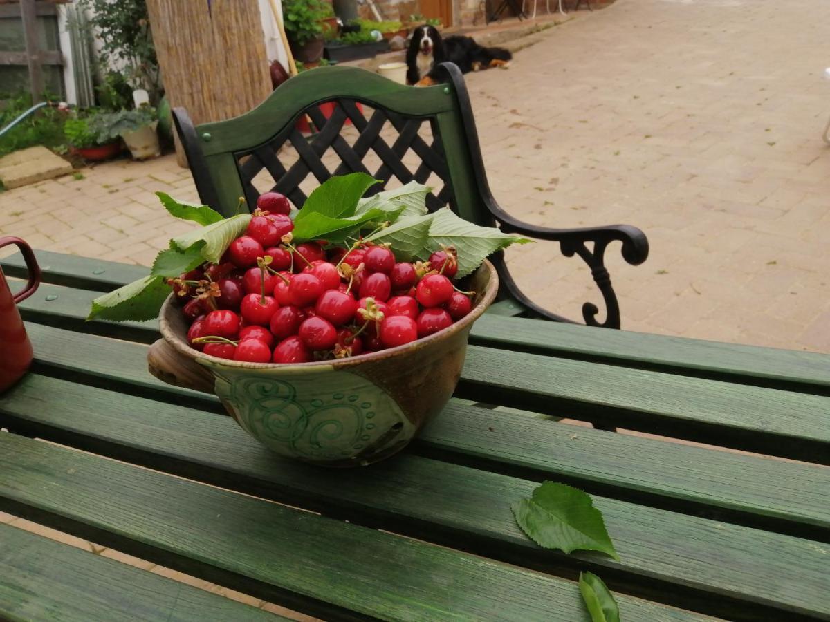 Mives Vendeghaz Hotel Pogany Luaran gambar