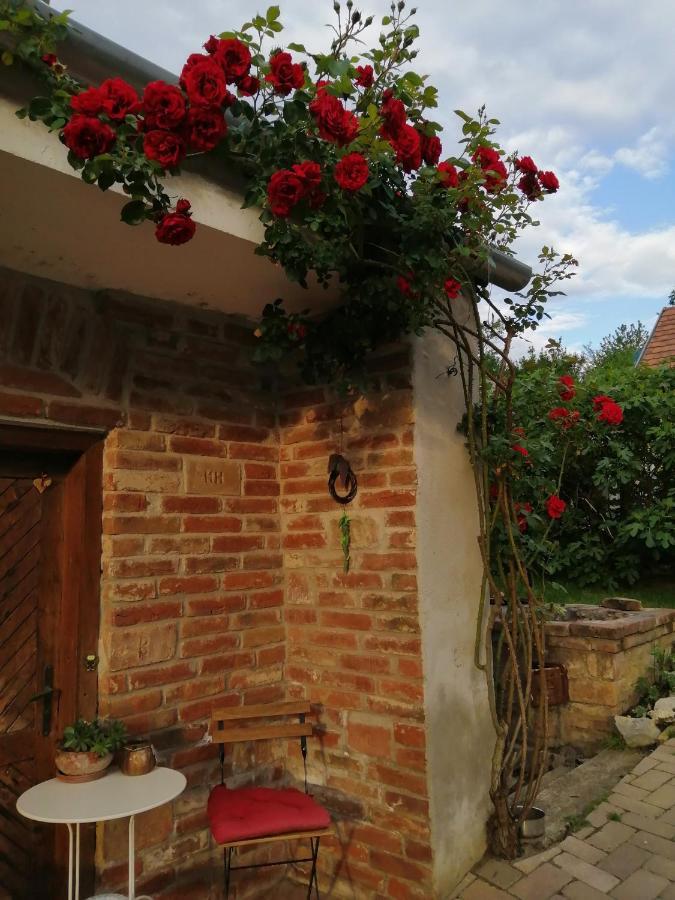 Mives Vendeghaz Hotel Pogany Luaran gambar