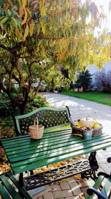 Mives Vendeghaz Hotel Pogany Luaran gambar