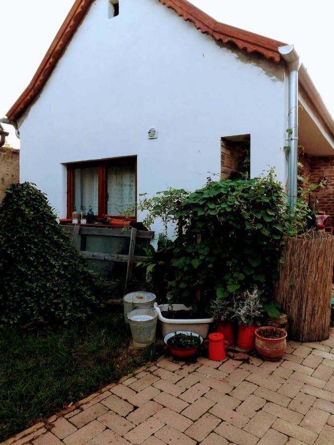 Mives Vendeghaz Hotel Pogany Luaran gambar