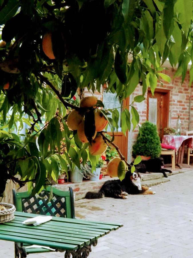 Mives Vendeghaz Hotel Pogany Luaran gambar